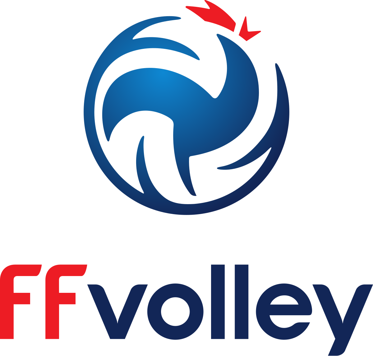 FormFFvolley